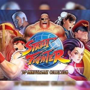 Street Fighter 30th Anniversary Collection EU PC Steam CD Key