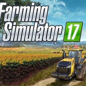 Farming Simulator 17 EU PC Steam CD Key