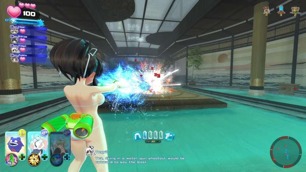 Senran Kagura Peach Beach Splash Steam CD Key