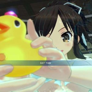 Senran Kagura Peach Beach Splash Steam CD Key