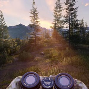 Hunting Simulator 2 EU Steam CD Key