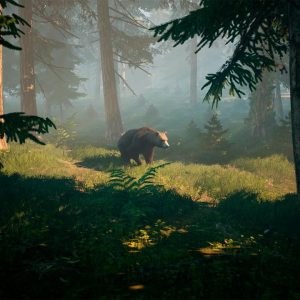 BIGFOOT EU Steam CD Key