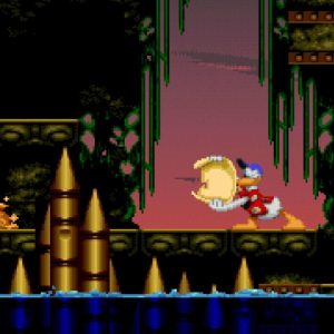 Maui Mallard in Cold Shadow EU Steam CD Key
