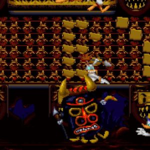 Maui Mallard in Cold Shadow EU Steam CD Key