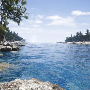 SCUM EU PC Steam CD Key