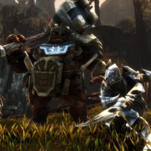 Kingdoms of Amalur: Re-Reckoning EU PC Steam CD Key