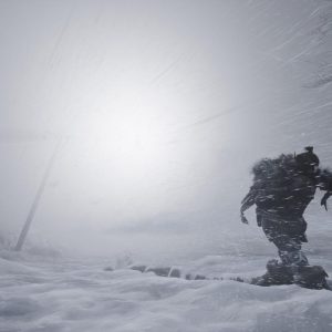Fade to Silence EU PC Steam CD Key