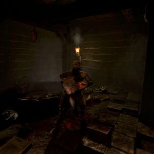 Amnesia: The Dark Descent EU PC Steam CD Key