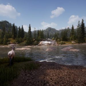Hunting Simulator 2 EU Steam CD Key