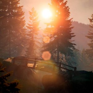 BIGFOOT EU Steam CD Key
