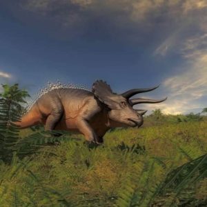 theHunter: Primal EU Steam CD Key