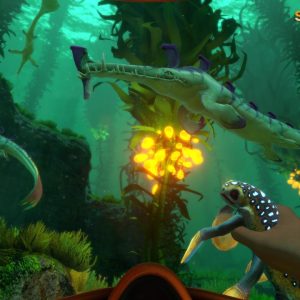 Subnautica EU PC Steam CD Key