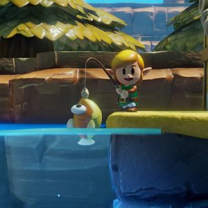 The Legend of Zelda: Link’s Awakening Nintendo Switch Access