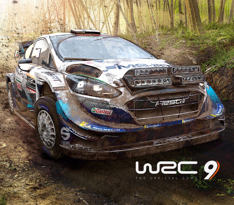 WRC 9 FIA World Rally Championship EU Epic Games CD Key